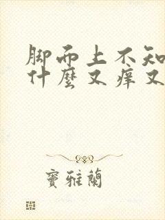 脚面上不知道为什么又痒又肿封面