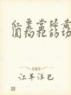 红枣当归黄芪桂圆枸杞的功效封面