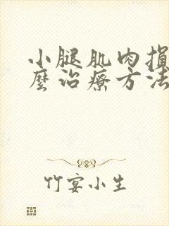 小腿肌肉损伤怎么治疗方法封面