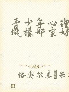青少年心理疏导机构哪家好