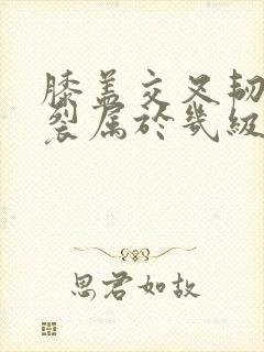 书籍封面
