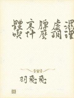 体寒脾虚湿气重吃什么调理