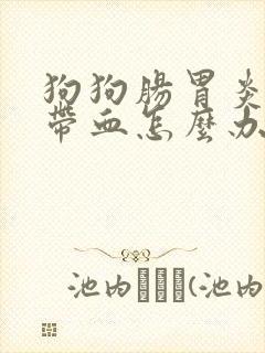 狗狗肠胃炎拉稀带血怎么办