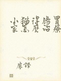 小猫得肠胃炎在家怎么治疗