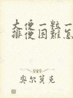 大便一粒一粒硬排便困难怎么办封面