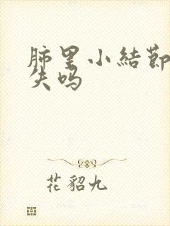 肺里小结节会消失吗