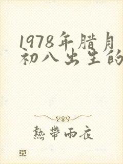 1978年腊月初八出生的人命运