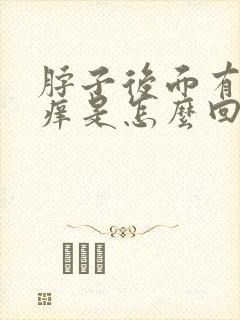 脖子后面有包还痒是怎么回事