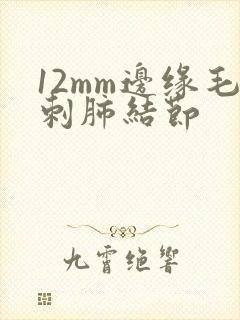 12mm边缘毛刺肺结节