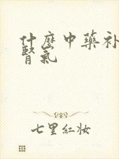 什么中药补肾精肾气