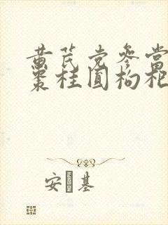黄芪党参当归红枣桂圆枸杞子一起泡水喝