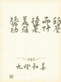 膝盖后面的腿窝筋痛是什么原因