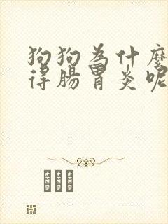 狗狗为什么频繁得肠胃炎呢