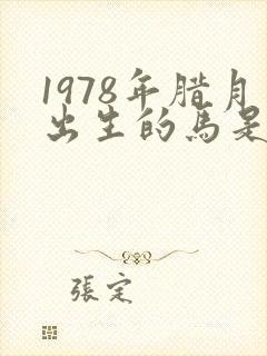 1978年腊月出生的马是什么命