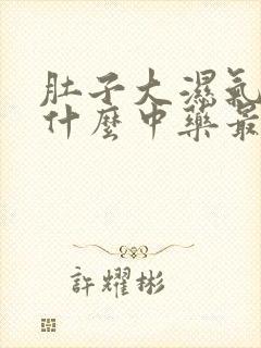 肚子大湿气重吃什么中药最好最有效