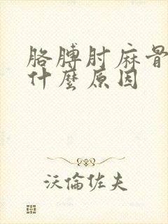 胳膊肘麻骨疼是什么原因
