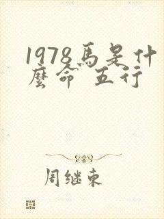 1978马是什么命 五行
