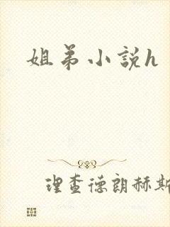 姐弟小说h封面