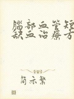 脑部血管短暂性缺血治疗方法封面