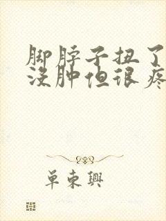 脚脖子扭了一下没肿但很疼怎么办封面