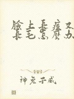 脸上长痘又毛孔长毛怎么办