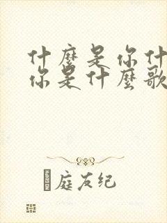 什么是你什么是你是什么歌的歌词