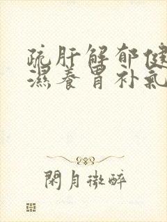 疏肝解郁健脾祛湿养胃补气补血