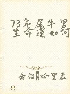 73年属牛男一生命运如何