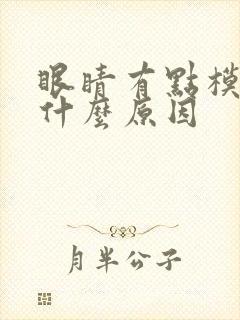 眼睛有点模糊是什么原因