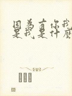 因为有你我不再是我是什么歌封面