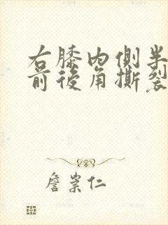 右膝内侧半月板前后角撕裂