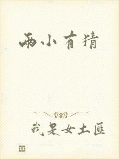 两小有猜封面