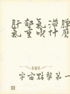 肝郁气滞脾虚湿气重吃什么药
