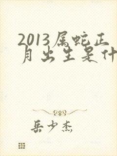 2013属蛇正月出生是什么命