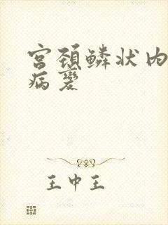 宫颈鳞状内上皮病变