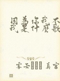 因为你我不再是我是什么歌
