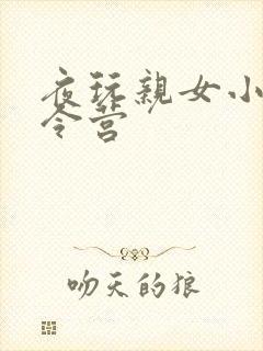 夜玩亲女小妍夏令营封面
