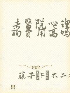去医院心理科咨询费用高吗封面