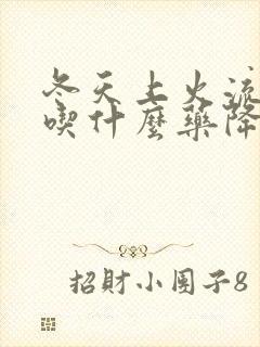 冬天上火流鼻血吃什么药降火封面