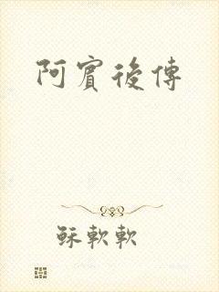 阿宾后传