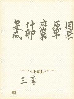 是什么原因会造成卵巢早衰封面