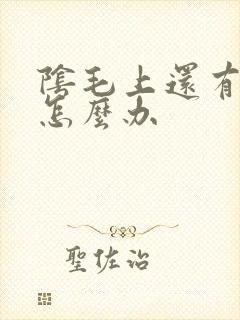 阴毛上还有阴虱怎么办
