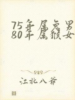 75年属兔男和80年属猴女婚姻封面