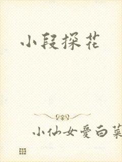 小段探花