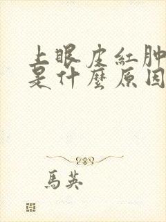 上眼皮红肿发痒是什么原因造成的