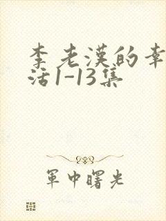 李老汉的幸福生活1-13集