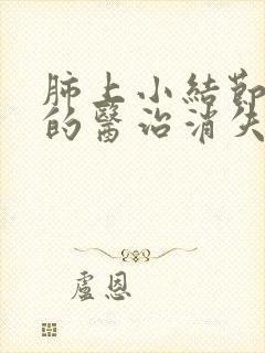肺上小结节靠主的医治消失