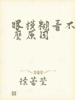 眼模糊看不清什么原因