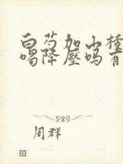 白芍加山楂泡水喝降压吗有效果吗
