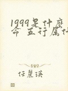 1999是什么命 五行属什么